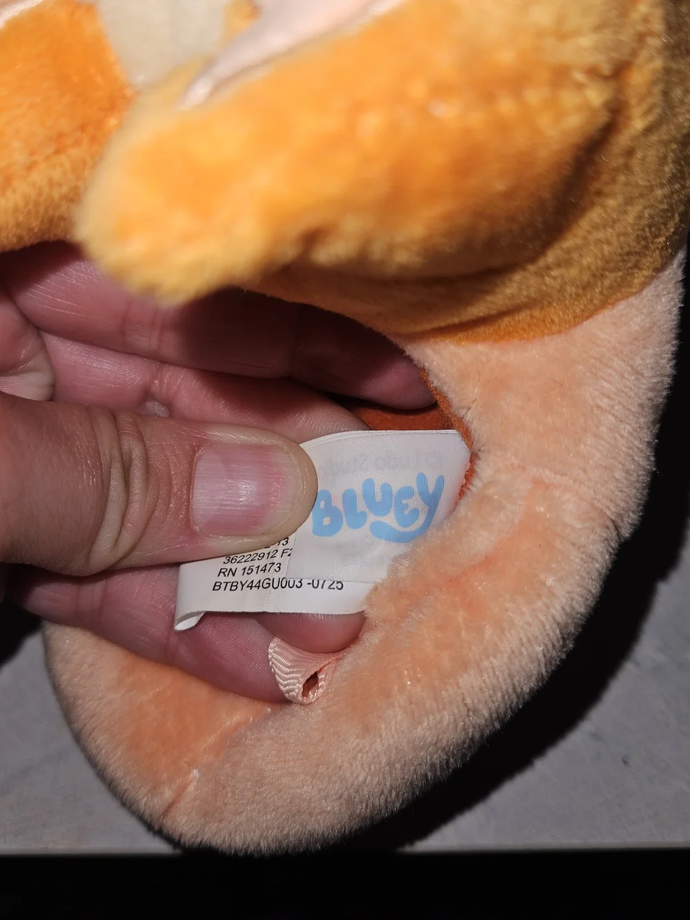 Bluey Kids Plush Character Slippers - Orange and Light Blue Size 5/6